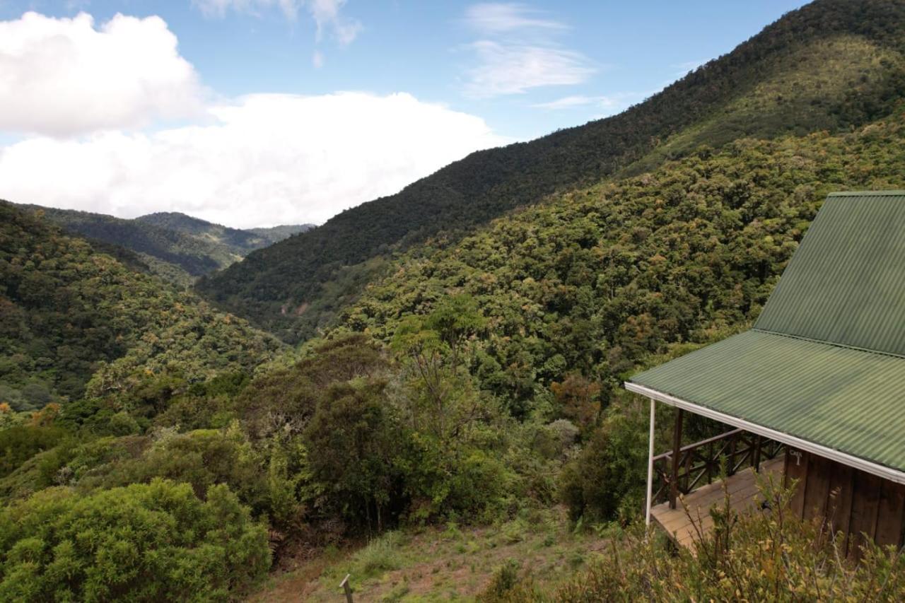 Quetzal Valley Cabins San Gerardo de Dota Exterior photo