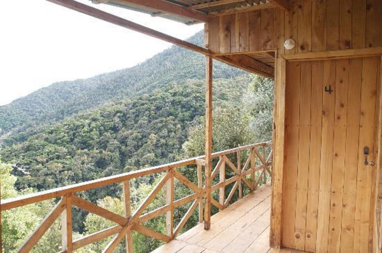 Quetzal Valley Cabins San Gerardo de Dota Exterior photo