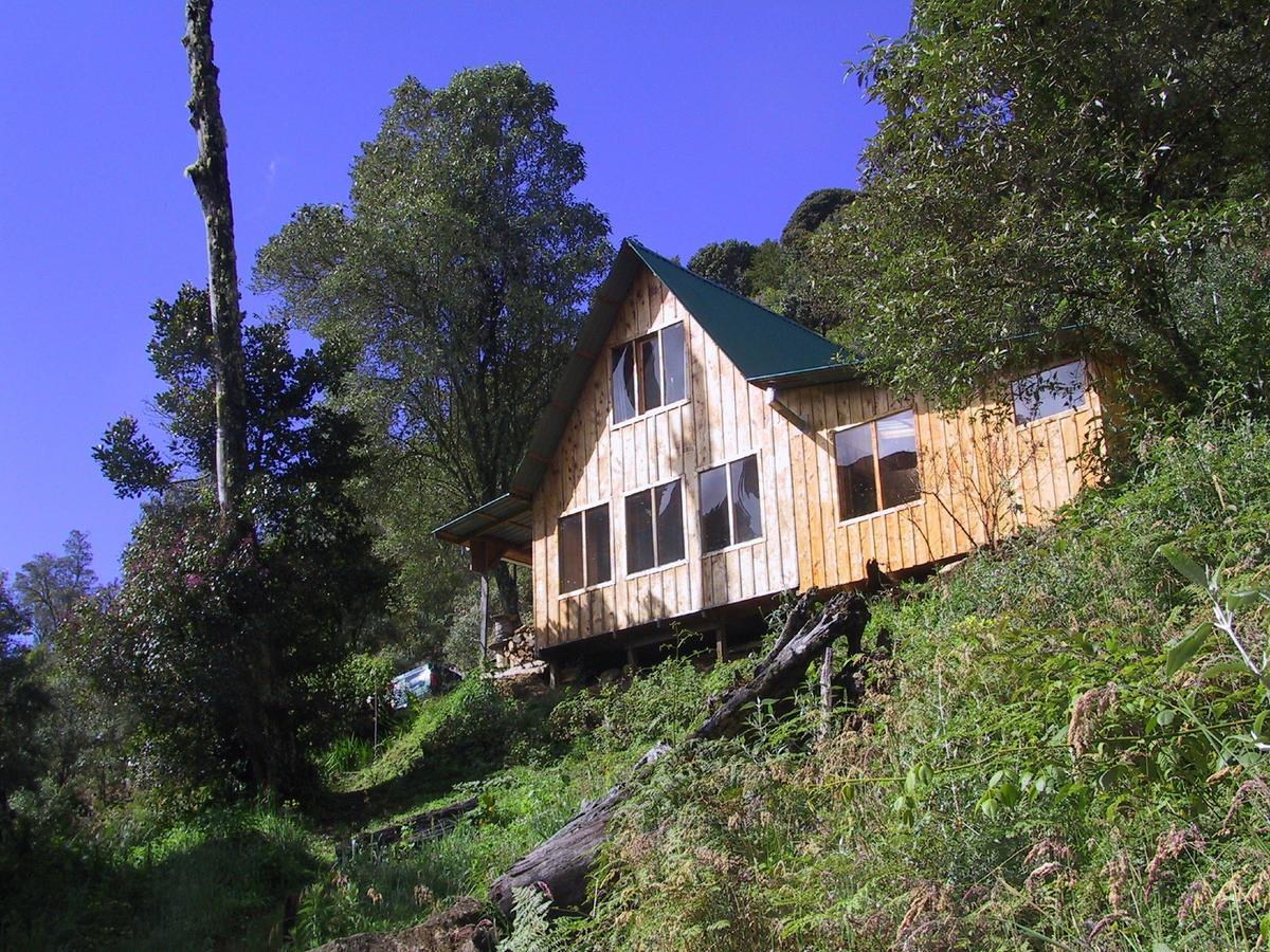 Quetzal Valley Cabins San Gerardo de Dota Exterior photo