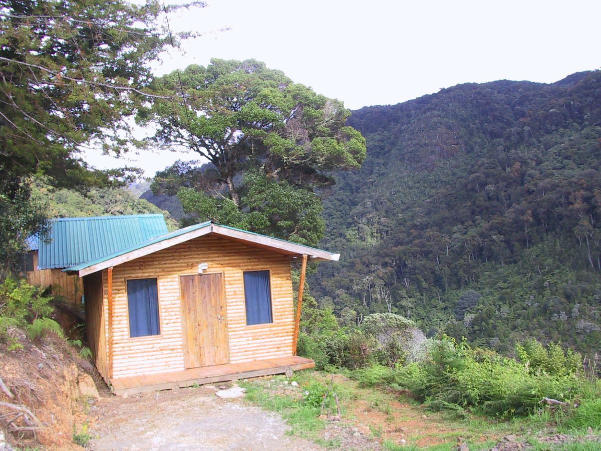 Quetzal Valley Cabins San Gerardo de Dota Exterior photo