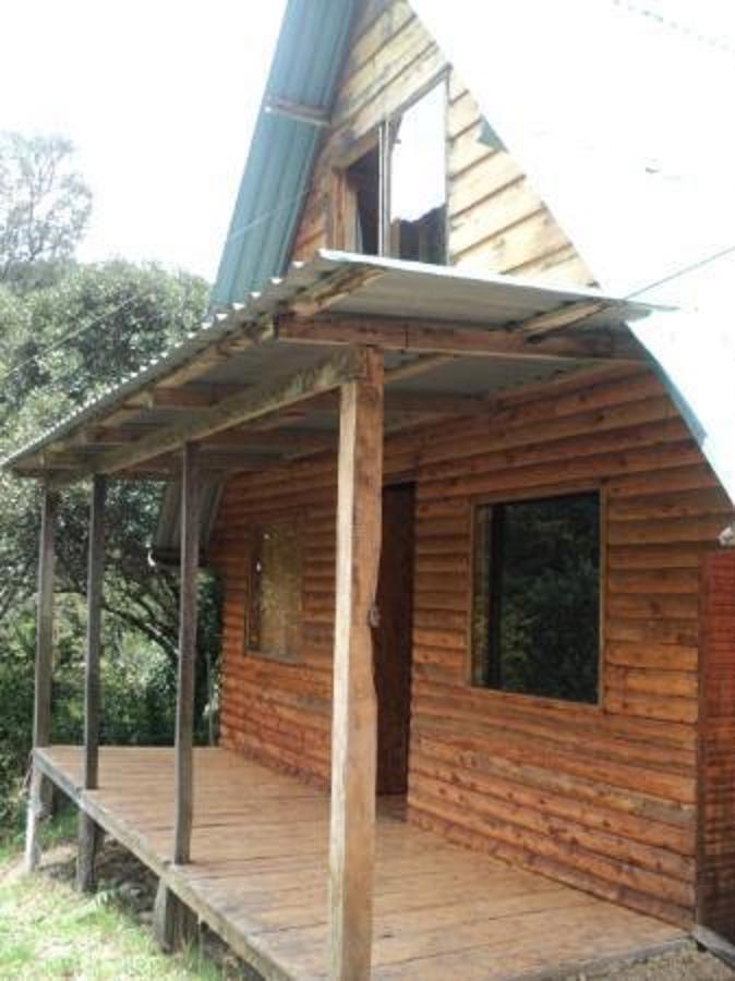 Quetzal Valley Cabins San Gerardo de Dota Exterior photo
