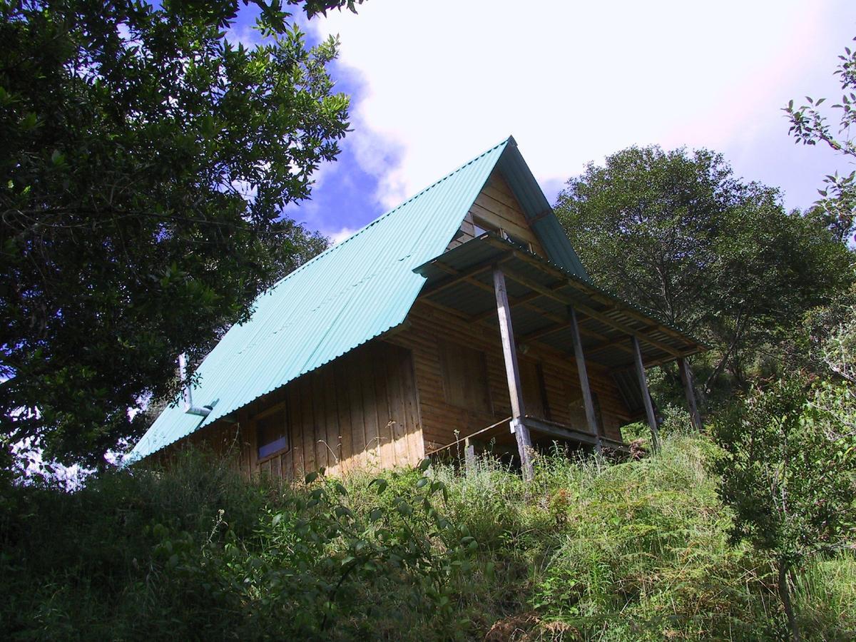 Quetzal Valley Cabins San Gerardo de Dota Exterior photo