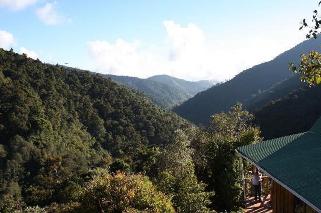 Quetzal Valley Cabins San Gerardo de Dota Exterior photo