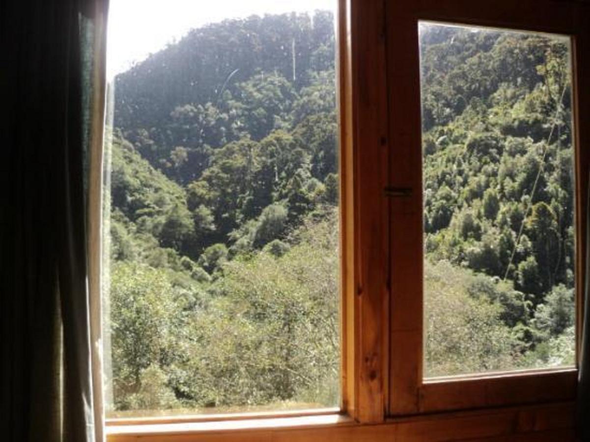 Quetzal Valley Cabins San Gerardo de Dota Exterior photo