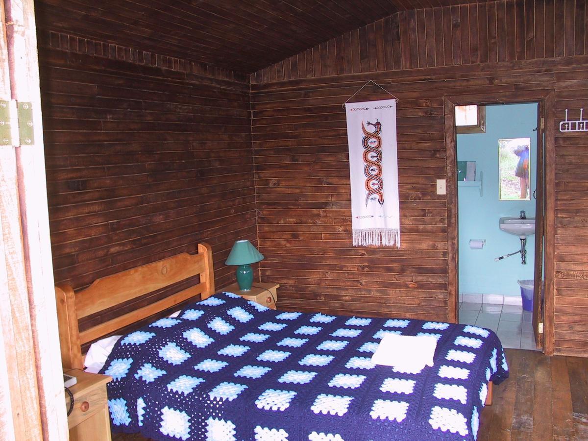 Quetzal Valley Cabins San Gerardo de Dota Exterior photo