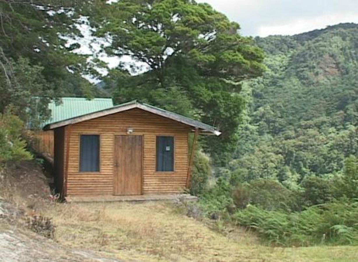 Quetzal Valley Cabins San Gerardo de Dota Exterior photo