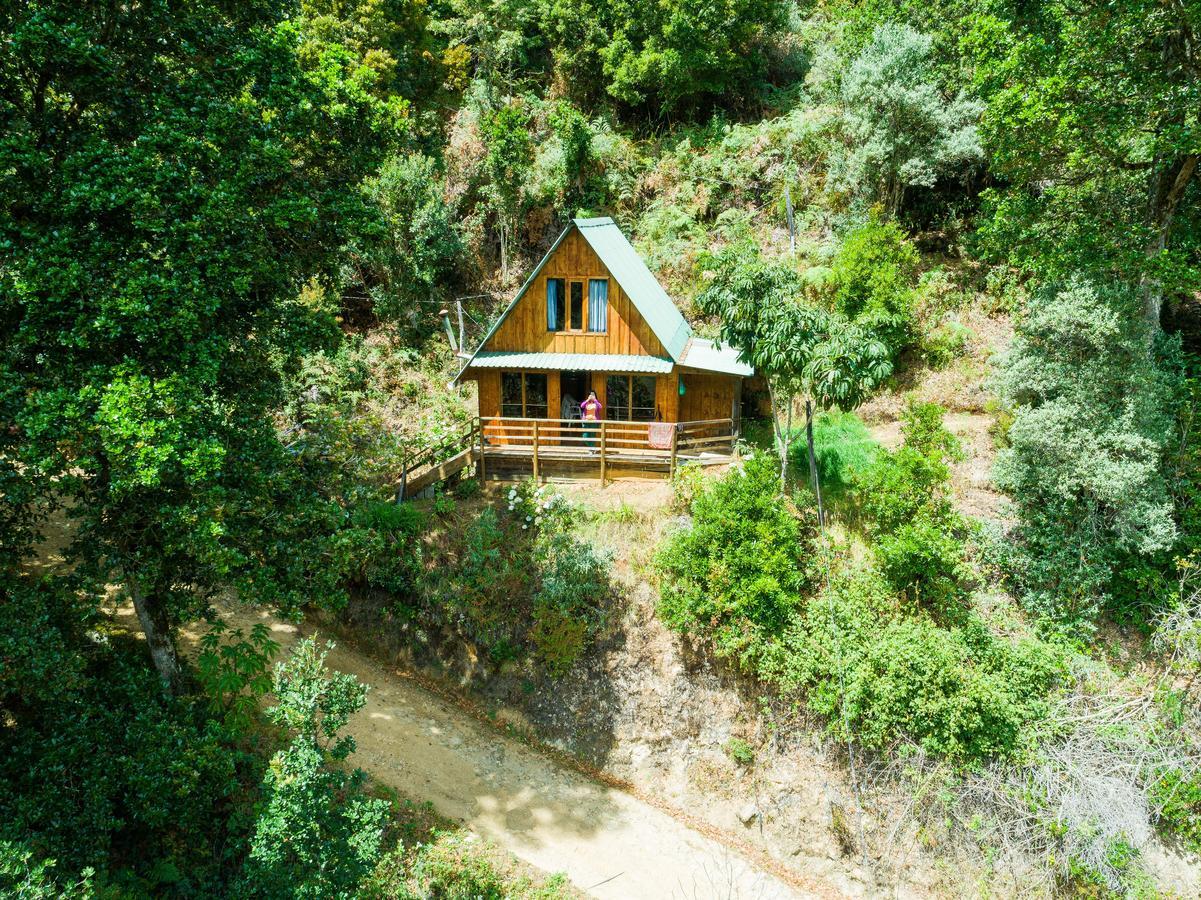 Quetzal Valley Cabins San Gerardo de Dota Exterior photo